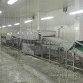 Automatic Fruit and Vegetable Production Line